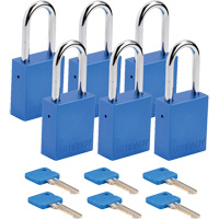 Cadenas de s&eacute;curit&eacute;, Cadenas de s&eacute;curit&eacute;, Cl&eacute;s diff&eacute;rentes, Aluminium, Largeur de 1-1/2" Stor-it Systems