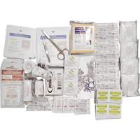 Shield™ Basic First Aid Kit Refill, CSA Type 2 Low-Risk Environment, Small (2-25 Workers) SHJ863 | Stor-it Systems