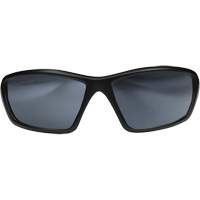 Robson Safety Glasses with Gasket, Silver Mirror Lens, Anti-Scratch/Polarized, ANSI Z87+/MCEPS GL-PD 10-12/Meets/Exceeds CSA Z94.3 Stor-it Systems