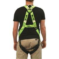 FBH-10000L Contractor Series Safety Harness, CSA Certified, Class AL, 400 lbs. Cap. Stor-it Systems