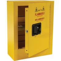 Mini Flammable Safety Cabinet, 2 Gal., 1 Door, 17" W x 22" H x 8" D Stor-it Systems