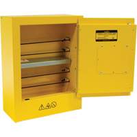 Mini Flammable Safety Cabinet, 2 Gal., 1 Door, 17" W x 22" H x 8" D Stor-it Systems