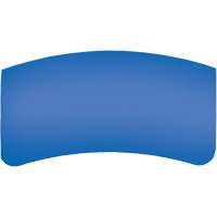 Bullard GenVX PETG Outer Lens Stor-it Systems