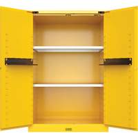 Utili-Guard+ Flammable Safety Cabinet, 45 gal., 2 Door, 43" W x 65" H x 22" D Stor-it Systems