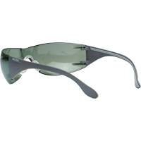 Lunettes de s&eacute;curit&eacute; Adapt Lite, Lentille Int&eacute;rieur/ext&eacute;rieur, Antibu&eacute;e/Anti-&eacute;gratignures, ANSI Z87+/R&eacute;pond ou surpasse la norme CSA Z94.3 Stor-it Systems