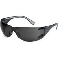 Lunettes de s&eacute;curit&eacute; Adapt Lite, Lentille Fum&eacute;e, Antibu&eacute;e/Anti-&eacute;gratignures, ANSI Z87+/R&eacute;pond ou surpasse la norme CSA Z94.3 Stor-it Systems