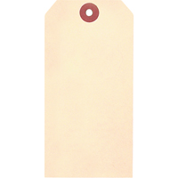 Manila Blank Tags, Cardstock, 1-3/8" W x 2-3/4" H SI966 | Stor-it Systems