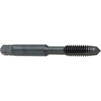 Taraud &agrave; entr&eacute;e h&eacute;licoidale, Acier rapide au cobalt, Filet de 8-32, 2-1/8" l Stor-it Systems