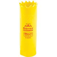 Scie &agrave; cloche bim&eacute;tal 13/16", 13/16", Profondeur de la coupe 2", Bim&eacute;tal Stor-it Systems