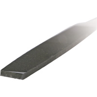 Lime d'usinage, Plat, 6", B&acirc;tarde Stor-it Systems