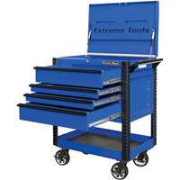 EX Deluxe Series Tool Cart, 4 Drawers, 22-7/8" L x 33" W x 44-1/4" H, Blue TER031 | Stor-it Systems