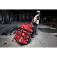 Packout™ 2-Wheel Cart TER104 | Stor-it Systems