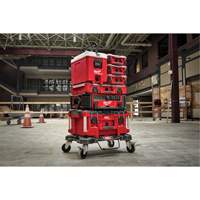 Packout™ Compact Cooler, 16 qt. Capacity TER113 | Stor-it Systems