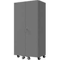 Armoire mobile vide Stor-it Systems