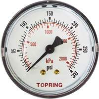 Replacement Pressure Gauge, 2" , 0 - 175 psi, Back Mount, Analogue Stor-it Systems
