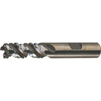 PM Plus Single End Roughers, Powder Metal, 3-Flute, Centre Cutting, Square End, 3/4" Dia. Stor-it Systems