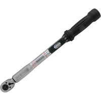 Cl&eacute; dynamom&eacute;trique &agrave; t&ecirc;te fine pour usage intensif, &agrave; cliquer, Entraînement 3/8" carr&eacute;, 10 - 80 lb-pi Stor-it Systems