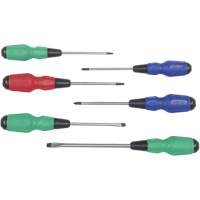 TDSS-6 Jeu de tournevis Torque Drive, 6 mcx, Magn&eacute;tique Stor-it Systems
