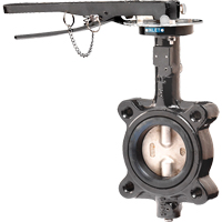 Butterfly Valves - Series BFV, 2" Pipe, 225 PSI THZ622 | Stor-it Systems