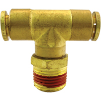 P.T.C. Swivel Male Branch Tees, Brass, 1/8" Stor-it Systems