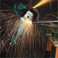 Angle Grinder with AC/DC Switch, 5", 10.5 A, 11000 RPM Stor-it Systems
