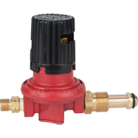 Propane Regulator Stor-it Systems