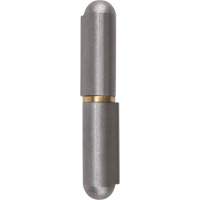 Weld-On Hinge, 0.453" Dia. x 2.756" L, Mild Steel w/Fixed Steel Pin TTV435 | Stor-it Systems