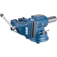Multi-Purpose Bench Vise, 5" Jaw Width, 3-1/10" Throat Depth Stor-it Systems