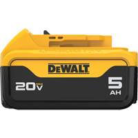 Max XR&reg; Premium Battery Pack, Lithium-Ion, 20 V, 5 A Stor-it Systems