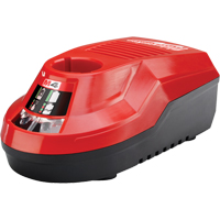 M4 Charger, 4 V, Lithium-Ion Stor-it Systems
