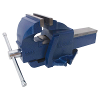 Ductile Iron Mechanics Bench Vise, 5" Jaw Width, 3-3/10" Throat Depth, Fixed Base TYQ488 | Stor-it Systems