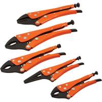 Straight Curved & Long Nose Locking Pliers Set, 5 Pieces TYR832 | Stor-it Systems