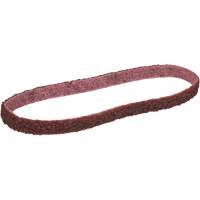 Scotch-Brite™ Surface Conditioning Belt UAE307 | Stor-it Systems