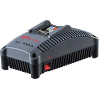 IQV Universal Tool Battery Charger, 12 V/20 V, Lithium-Ion UAE927 | Stor-it Systems