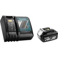 Rapid Battery Charger Kit, 18 V, Lithium-Ion UAF017 | Stor-it Systems