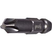 Embout pour outil &eacute;lectrique, Phillips, Embout #2, Prise 1/4", Longueur 2-3/4" Stor-it Systems