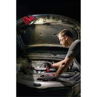 Projecteur d'illumination montable M12 ROVER, DEL, 250 W, 1000 lumens Stor-it Systems