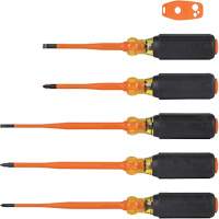 Slim-Tip Insulated Screwdriver Set, 1000 V, 6 Pcs Stor-it Systems