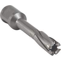 Core Cut Annular Cutter with Weldon Shank, 12 mm Diameter, Carbide, 55 mm Depth of Cut, 3/4" Shank Stor-it Systems