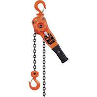KLP Series Lever Chain Hoists, 5' Lift, 1500 lbs. (0.75 tons) Capacity, Steel Chain UAW099 | Stor-it Systems