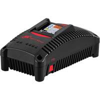 IQV&reg;40 Battery Charger, 40 V, Lithium-Ion Stor-it Systems