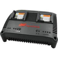 IQV&reg; Series Universal Charger, 12 V/20 V, Lithium-Ion Stor-it Systems