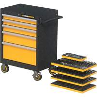 Jeu d'outils de m&eacute;canicien dans des plateaux modulaires en mousse avec conteneur de rangement, 247 morceaux Stor-it Systems
