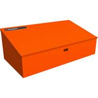 RAILWORKS Top Shelf Lockable Angled Workstation Stor-it Systems