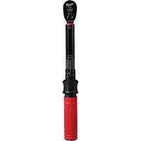 Cl&eacute; dynamom&eacute;trique, &agrave; cliquer, Entraînement 1/4" carr&eacute;, 4,5 - 22,6 Nm/40 - 200 lb-po Stor-it Systems