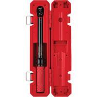 Cl&eacute; dynamom&eacute;trique, &agrave; cliquer, Entraînement 3/8" carr&eacute;, 20 - 100 lb-po/27,1 - 135,6 Nm Stor-it Systems