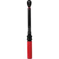 Cl&eacute; dynamom&eacute;trique, &agrave; cliquer, Entraînement 3/8" carr&eacute;, 20 - 100 lb-po/27,1 - 135,6 Nm Stor-it Systems