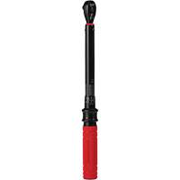 Cl&eacute; dynamom&eacute;trique, &agrave; cliquer, Entraînement 3/8" carr&eacute;, 20 - 100 lb-po/27,1 - 135,6 Nm Stor-it Systems