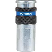 QUIKSILVER 2 Industrial Quick Coupler, Zinc-Plated Steel, 1/4", Female NPT, 362 PSI Stor-it Systems