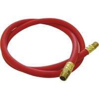 Tuyau de raccordement pour d&eacute;vidoir de tuyau, Air, Caoutchouc EDPM, 1/2" dia. x 5', 300 psi, 1/2 NPT Stor-it Systems